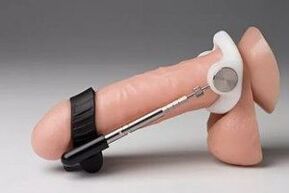 The extender mechanically stretches the penis, increasing its size